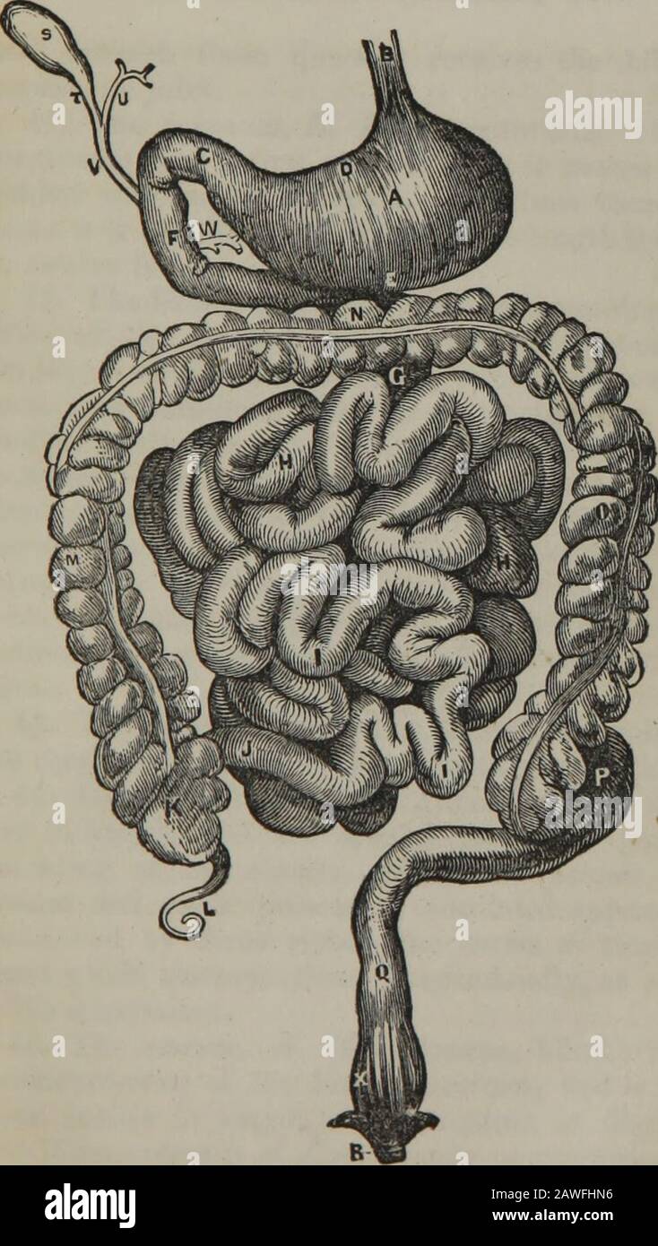 manual-of-directions-for-the-employment-of-injections-in-various