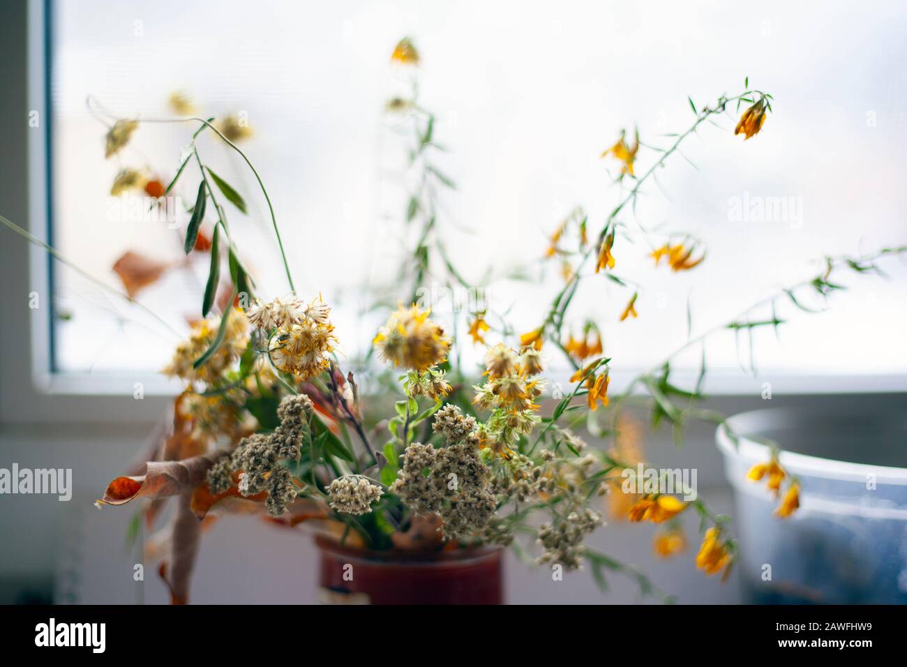 dried colorful wildflowers on a windowsill closeup Stock Photo Alamy