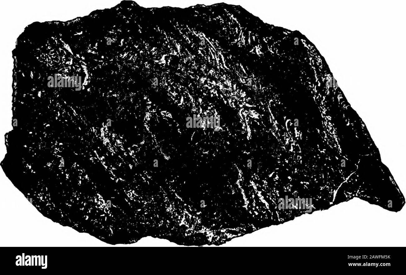 Structural geology . Fig. 27. Illustrating thrust fault developed by stretching and by erosion. AfterWillis. 1. Stretch thrust developed from an overturned fold by stretchingof the middle limb; 2. Erosion profile and section of a simple anticline; 3. Ero-sion thrust developed from the condition shown in 2 by compression from theplateau side, accompanied by continued erosion. 48 STRUCTURAL GEOLOGY underlimb of an overturned fold; and (3) erosion thrusts where thecompetent layer carrying the thrust is first weakened by erosionat or near the crest of the anticline. (Figs. 26 and 27.) Distributive Stock Photo