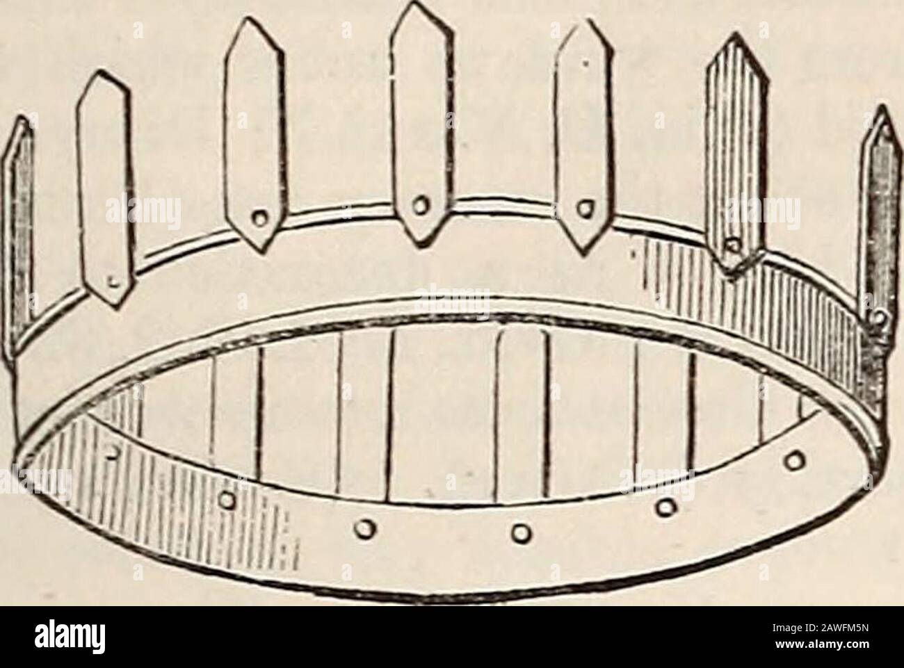 Corona triumphalis hi-res stock photography and images - Alamy