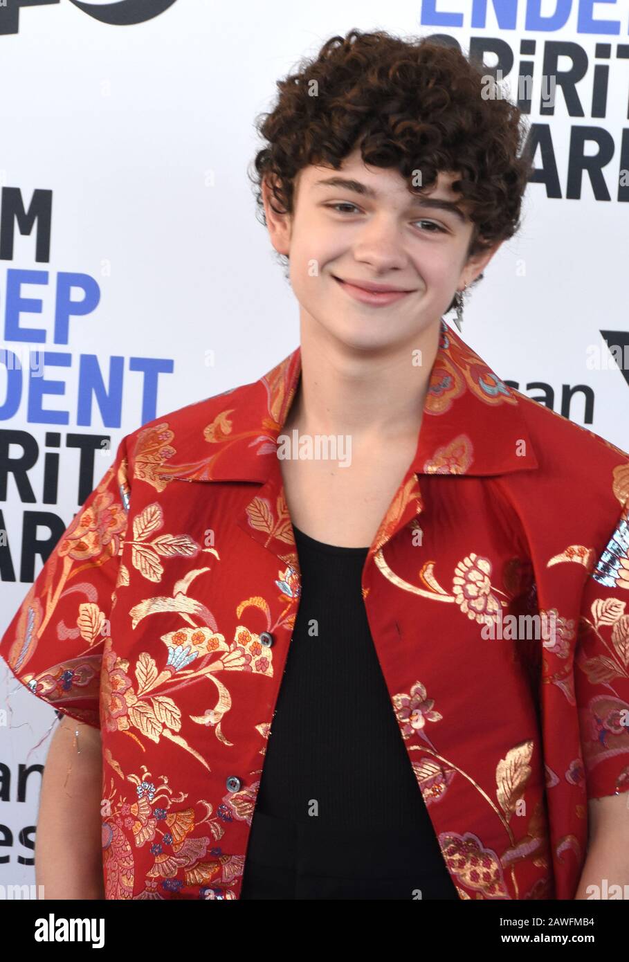 Santa Monica, California, USA 08th February 2020 Actor Noah Jupe attends  the 2020 Film Independent Spirit Awards on February 08, 2020 in Santa  Monica, California, USA. Photo by Barry King/Alamy Live News