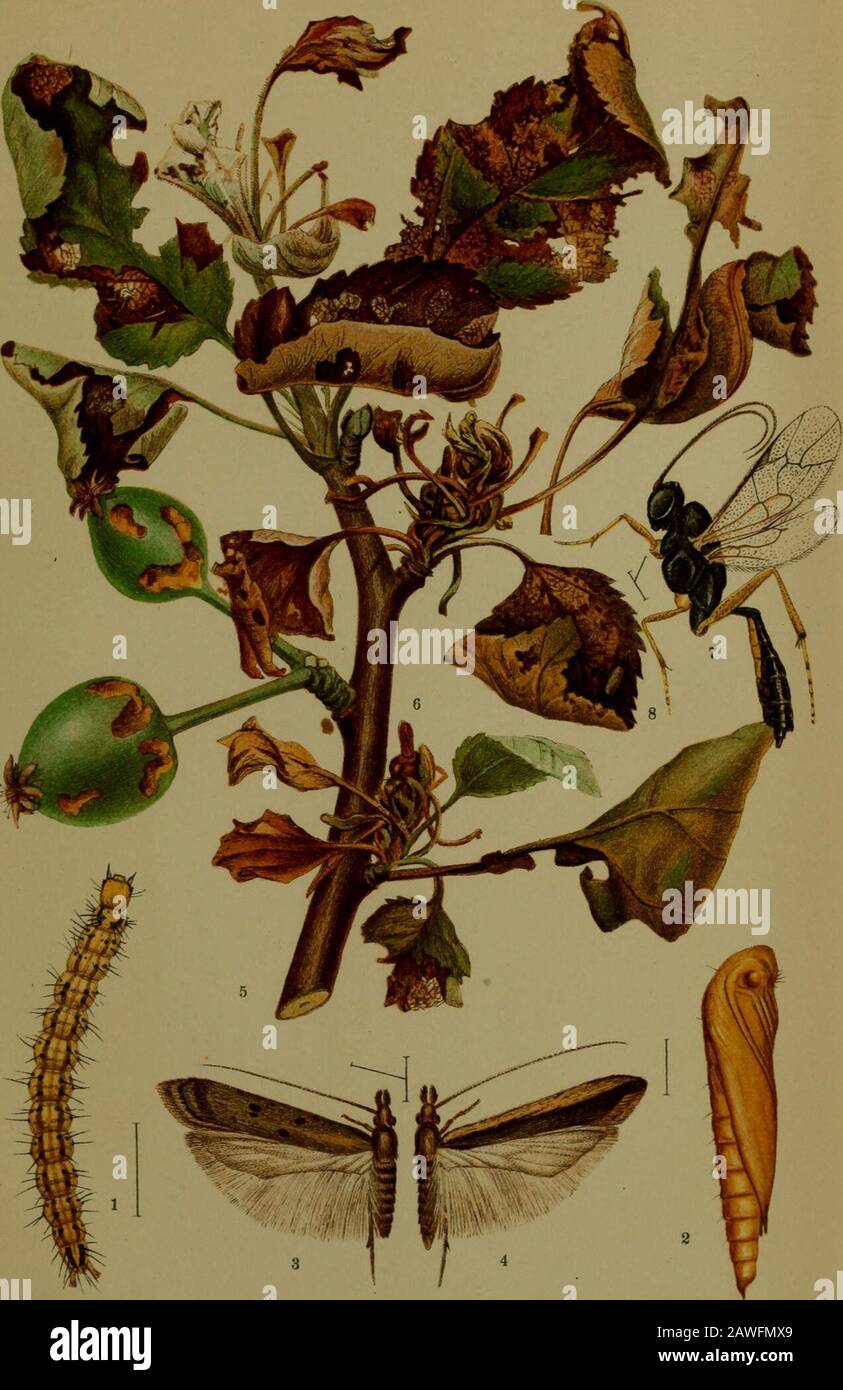 Page 3 Qj K High Resolution Stock Photography And Images Alamy