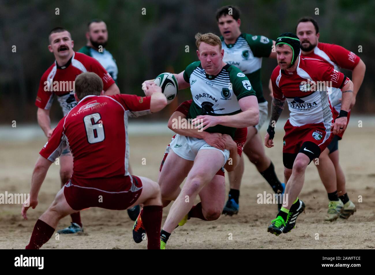 Southern Pines, North Carolina, USA. 8th Feb, 2020. Feb. 8, 2020