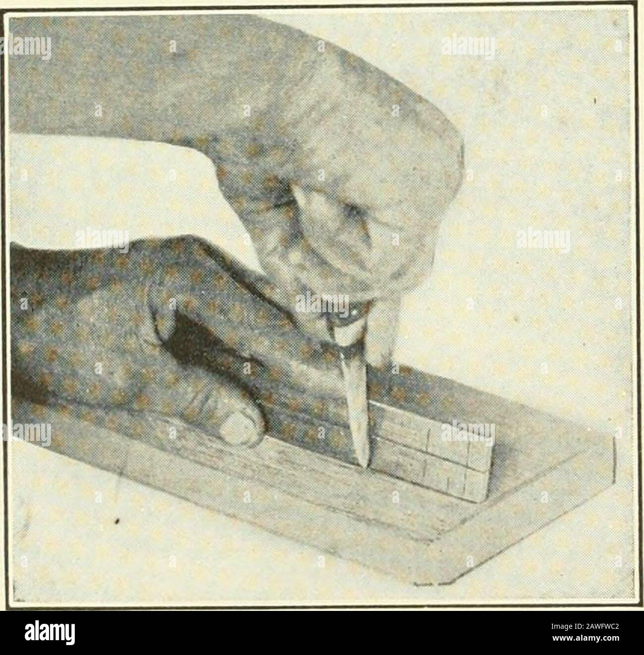 A shorter course in woodworking; a practical manual for home and school . ed most nearest to the worker. Have tools that gotogether, as bit-brace and bits, kept near together. Have all thecommon tools within reach, instead of put away in chests and drawers. Oily rags should either be burned at once, or, if a few are kept,should be kept in a stone jar or covered tin box. They are dangerous.If there is any dampness in the shop, the steel and iron parts of thetools should be rubbed, after using, with a little fat,—tallow, lard,wax, vaseline, oily cloth, or some anti-rust preparation. PART I COMMO Stock Photo