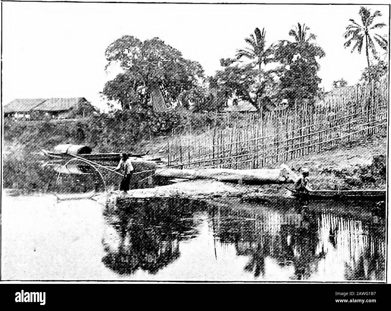 Burma . 88 BURMA. 191. SWING NET (YAQWIN). jack and several other fruits areroasted and eaten. Vegetablesare regularly cultivated in thevicinity of large towns. In thevillages very little trouble istaken with them. A bush orso of capsicum and a fewplants of brinjal or tomato areset; pumpkins and gourds aretrained over the roof or onarbours in front (Nos. 126,414).The market vegetables areonions and garlic, many kindsof beans, fresh and dried,various tubers, yams, sweet-potato, pumpkins, marrows, gourds, brinjalsand tomatoes, chimbdung, kyeppaung and kyemmaiik. Green maize is used asa vegetable Stock Photo