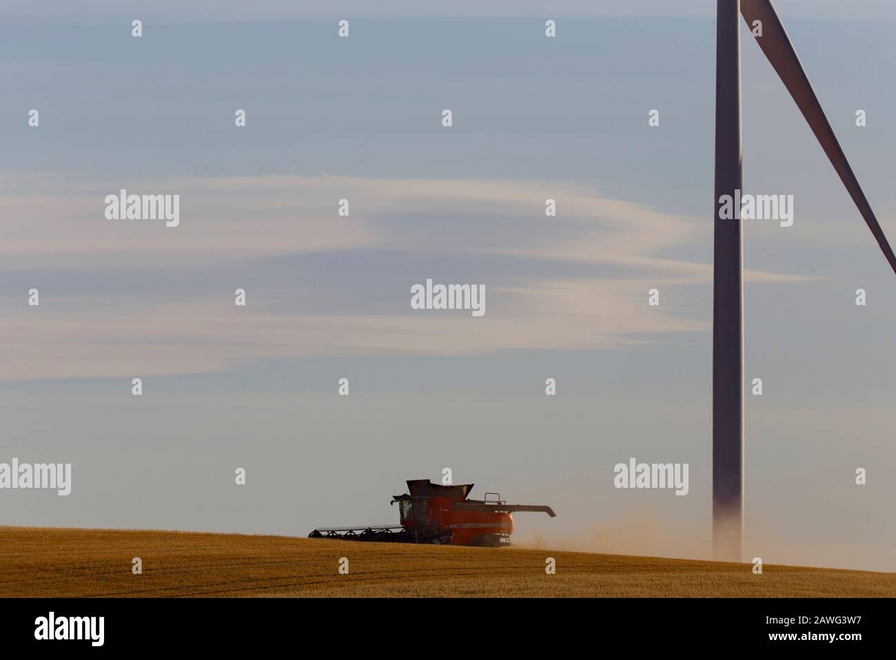 A combine harvester harvesting oats around the base of a wind turbine near Jamestown South Australia Stock Photo