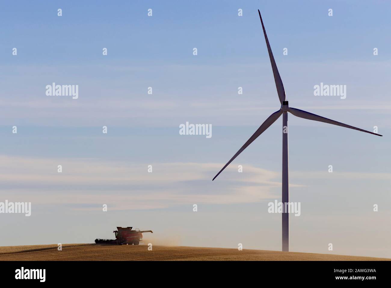A combine harvester harvesting oats around the base of a wind turbine