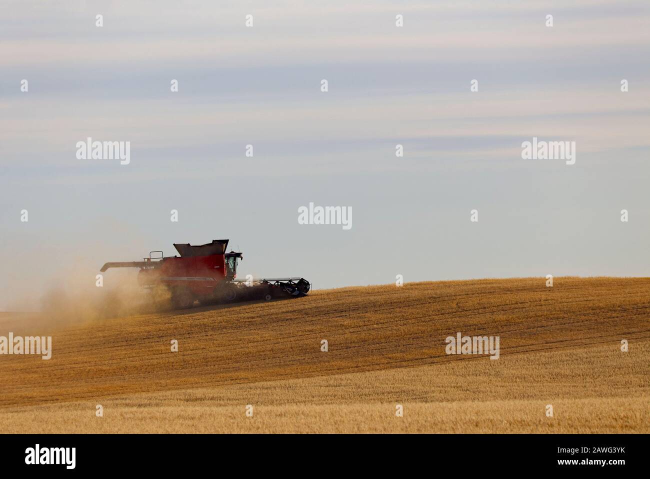 A combine harvester harvesting oats around the base of a wind turbine near Jamestown South Australia Stock Photo