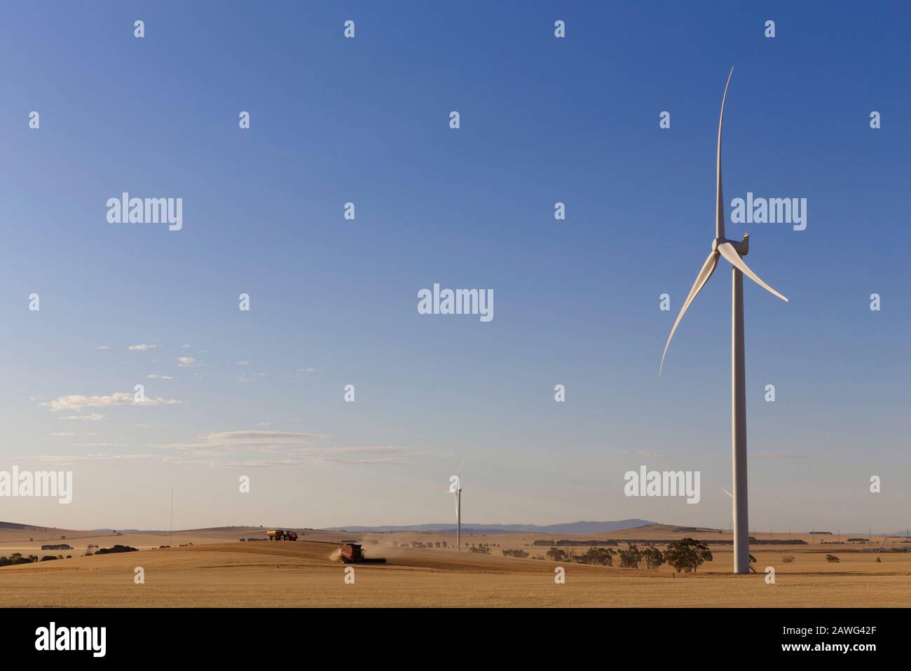 A combine harvester harvesting oats around the base of a wind turbine