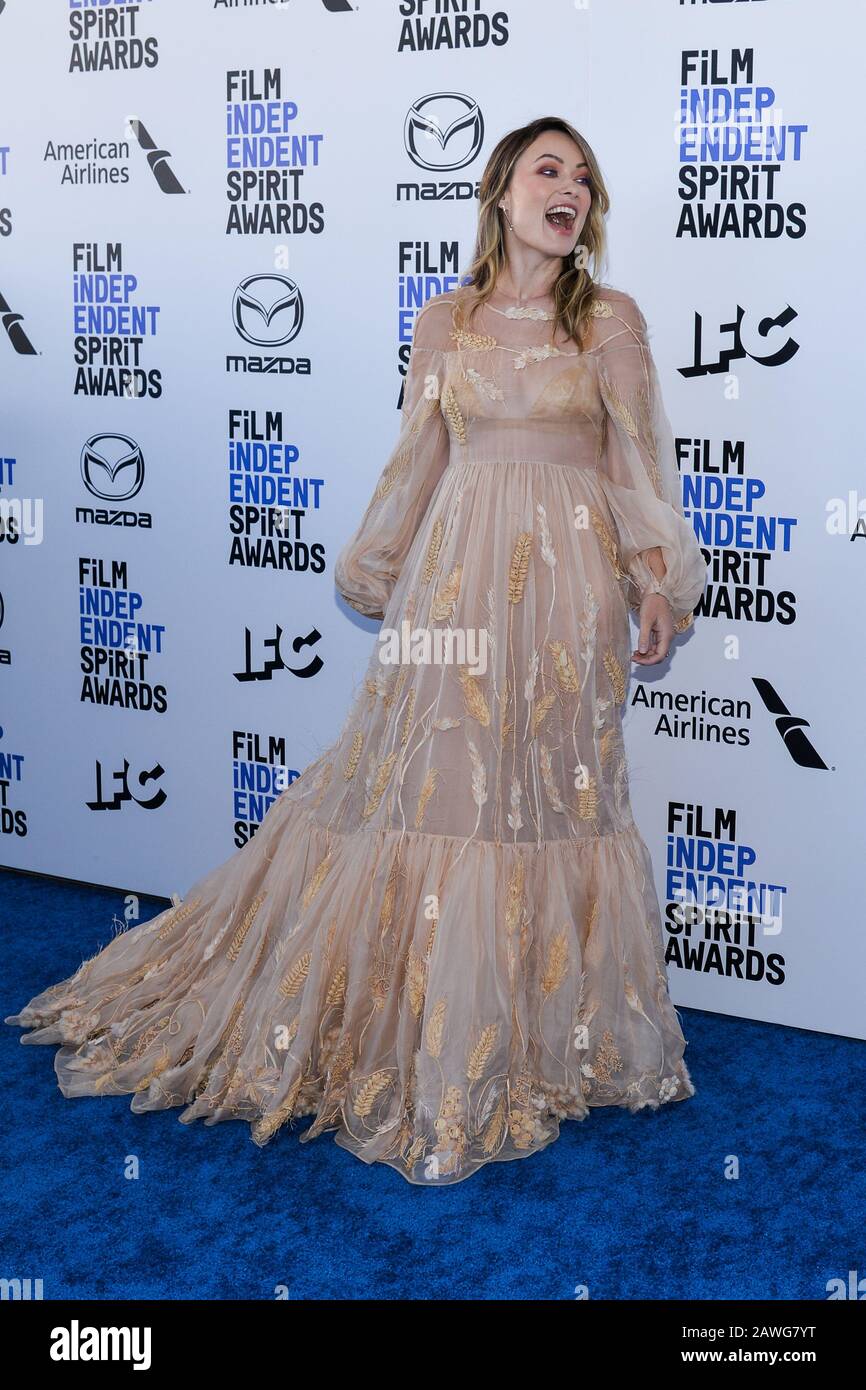 Olivia Wilde walking on the red carpet at the 35th Annual Film