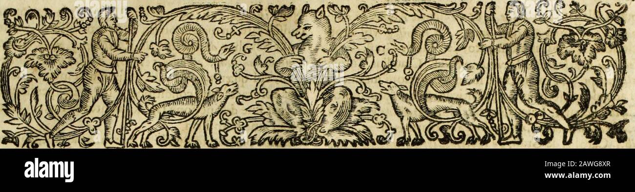 R.P.DAntoninus Diana Panormitanus ..Coordinatus, seu, Omnes resolutiones morales : eius ipsissimis verbis ad propria loca, & materias fideliter dispositae, ac distributae .. . DECISIONES 20?. DECISIONES NOVISSIMyE S AC KJE ROT£ ROMANI Qu&indiuerfis Tra&atibus a P. Dianaaduocat* funtjngratiam ftudtojorum per extenfum tmpreff. Stock Photo