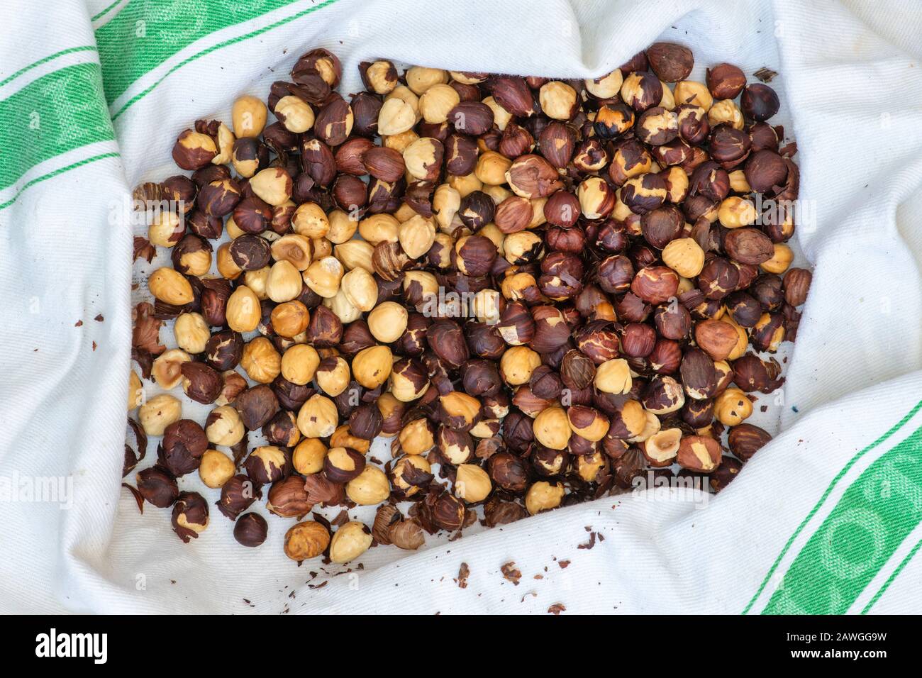 Corylus avellana. Roasted Hazelnuts on a towel for making homemade vegan hazelnut chocolate spread Stock Photo