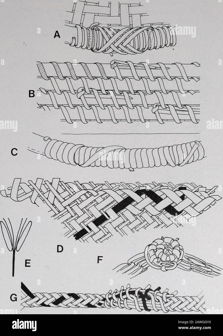Beer strainers hires stock photography and images Alamy