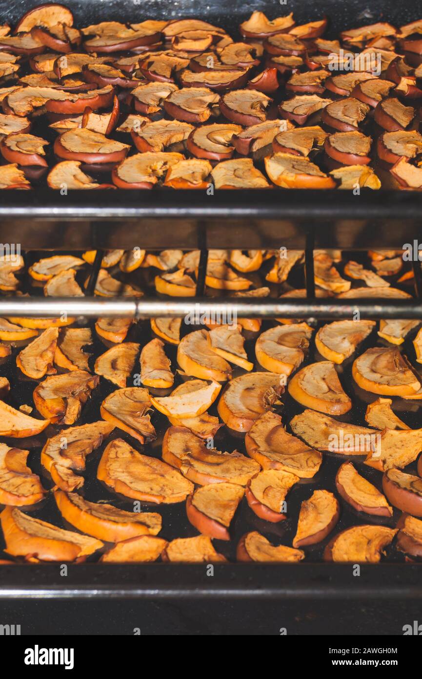 Dried apple slices in the oven. organic healthy food. vegetarian