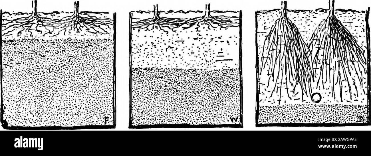 Land surface soil moisture Black and White Stock Photos & Images - Alamy