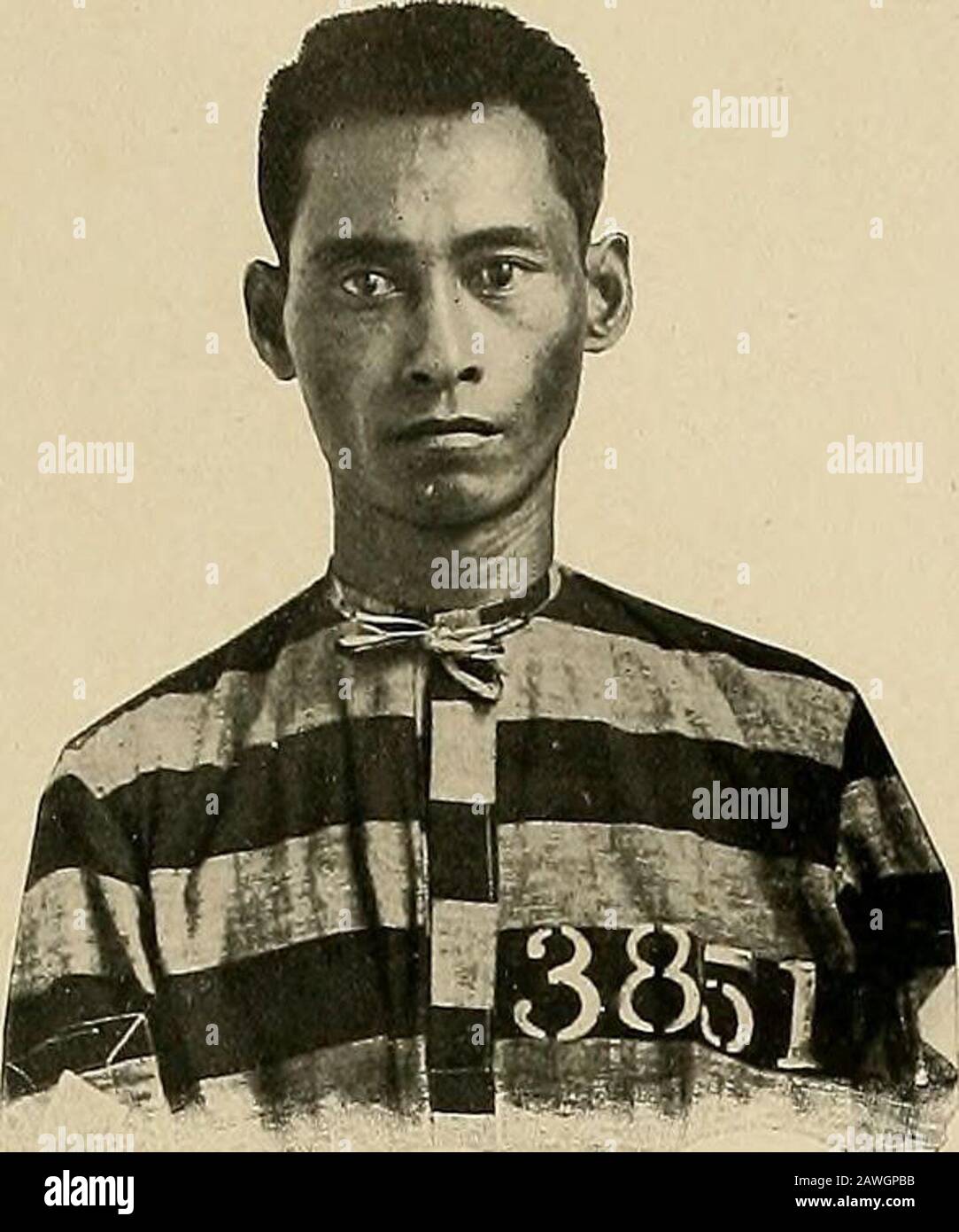 The Philippine journal of science Stock Photo Alamy