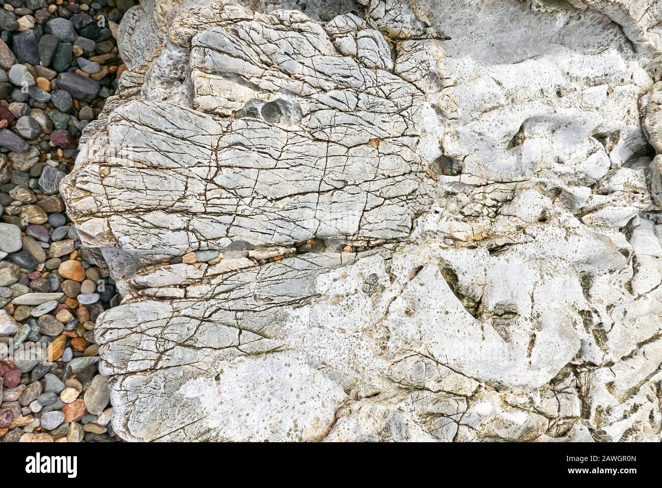 Roundish Rocks Big roundish bright gray colored, textured eroded rock, framed by ...