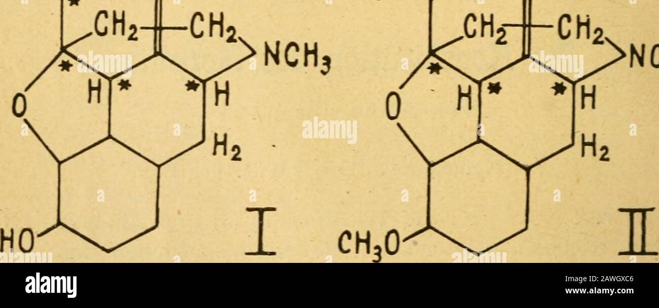 Archiv der Pharmazie . Bezeiclinung Bezeichnung der Stellung der Kohlenstoffatome der doppelten Bindungennach Knorr zum Stickstoff ho^iAh H. •NCH3 HOV^H^, H0HA/^,eH3 Stock Photo