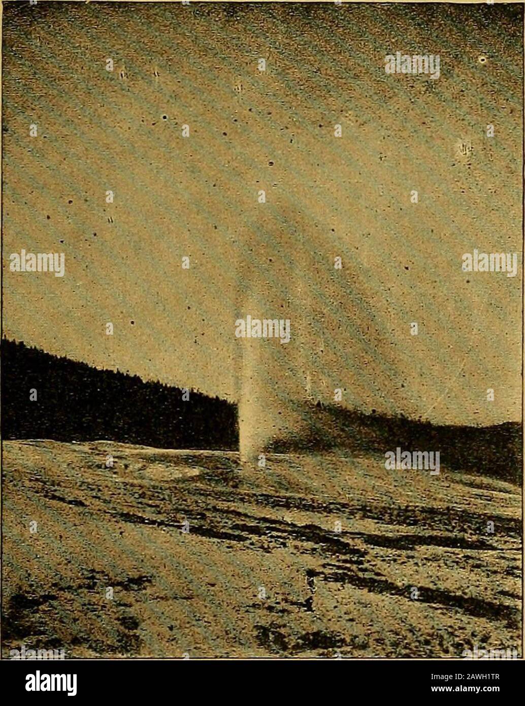 The Yosemite Alaska And The Yellowstone Fig 152 Castle Geyser Fig 153 Comet Geyser 2g 226 The Yosemite Alaska And The Yellowstone Of Castle Geyser Is Peculiar And Is Evidently Caused