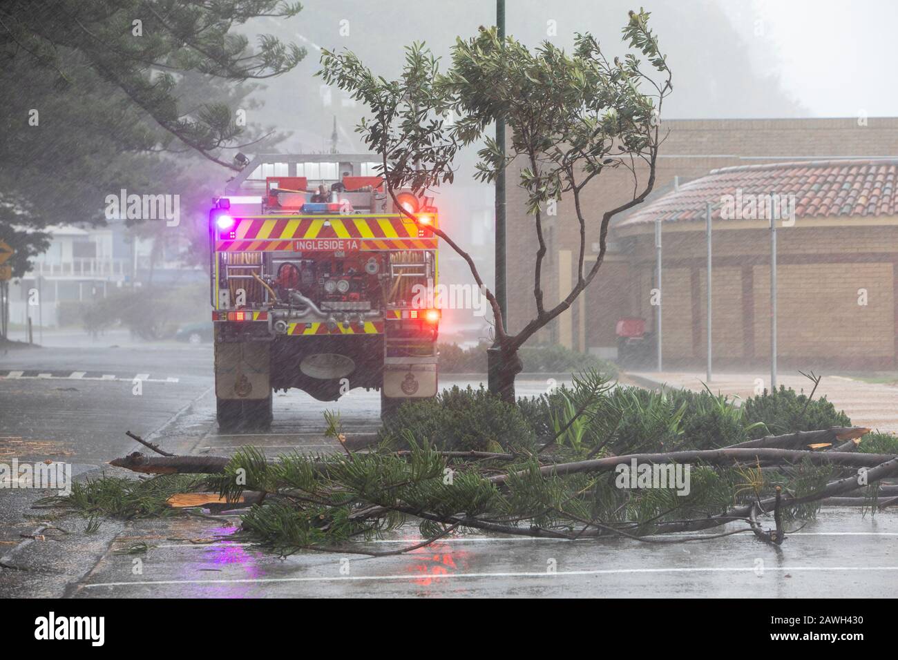 NSW fire and rescue service attend to a fallen tree in Palm Beach Sydney during the february 2020 storms,Sydney,Australia Stock Photo