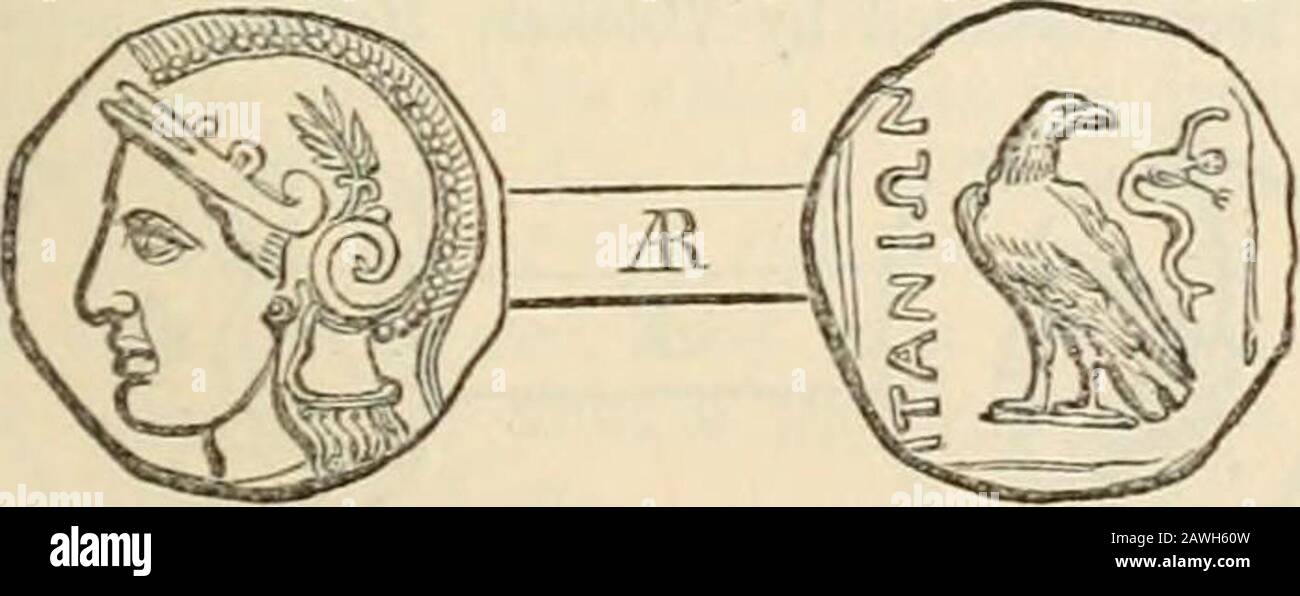 Dictionary of Greek and Roman geography . R. [Itanus.] ITANUS (iTar/os,  Ptol. iii. 17. § 4; Steph. B.:Eth. iTctiios), a town on the E. coast of  Crete, nearthe [iromontory which bore the