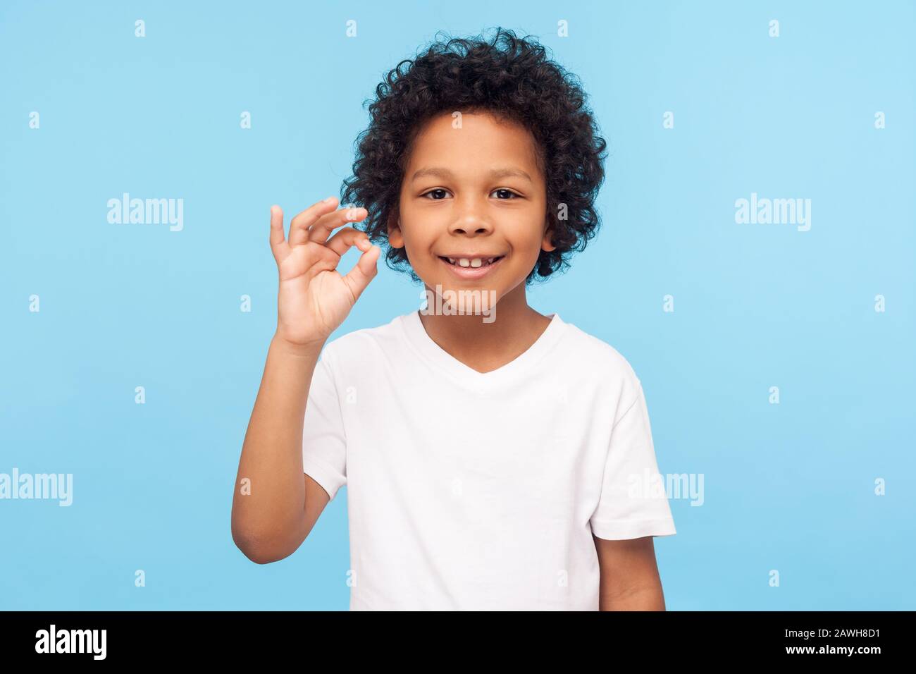 I'm okay! Portrait of adorable joyful little boy with curly hair in white T-shirt showing ok hand gesture and smiling, healthy happy contented with li Stock Photo