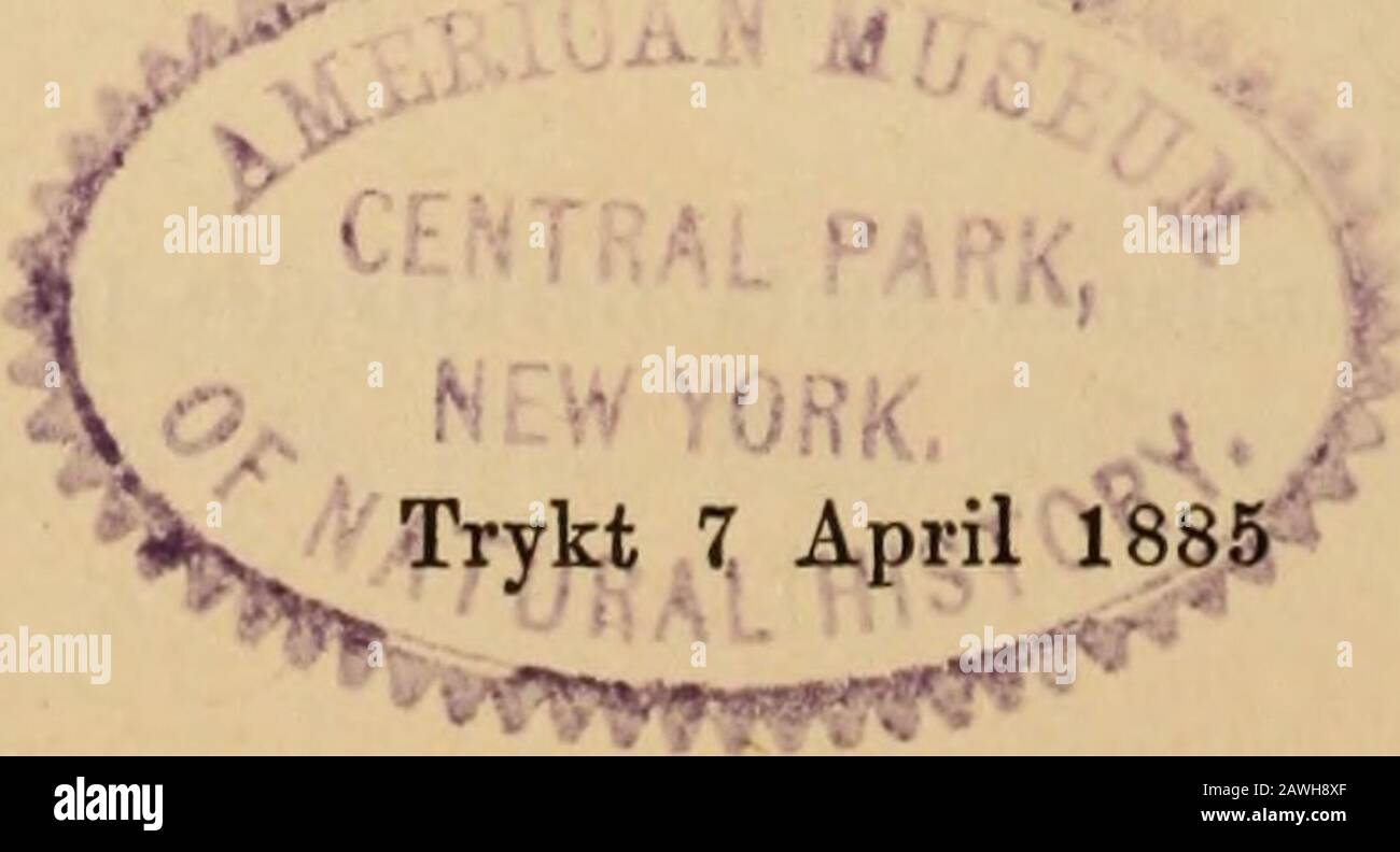 Tabt Stock Photos Tabt Stock Images Alamy