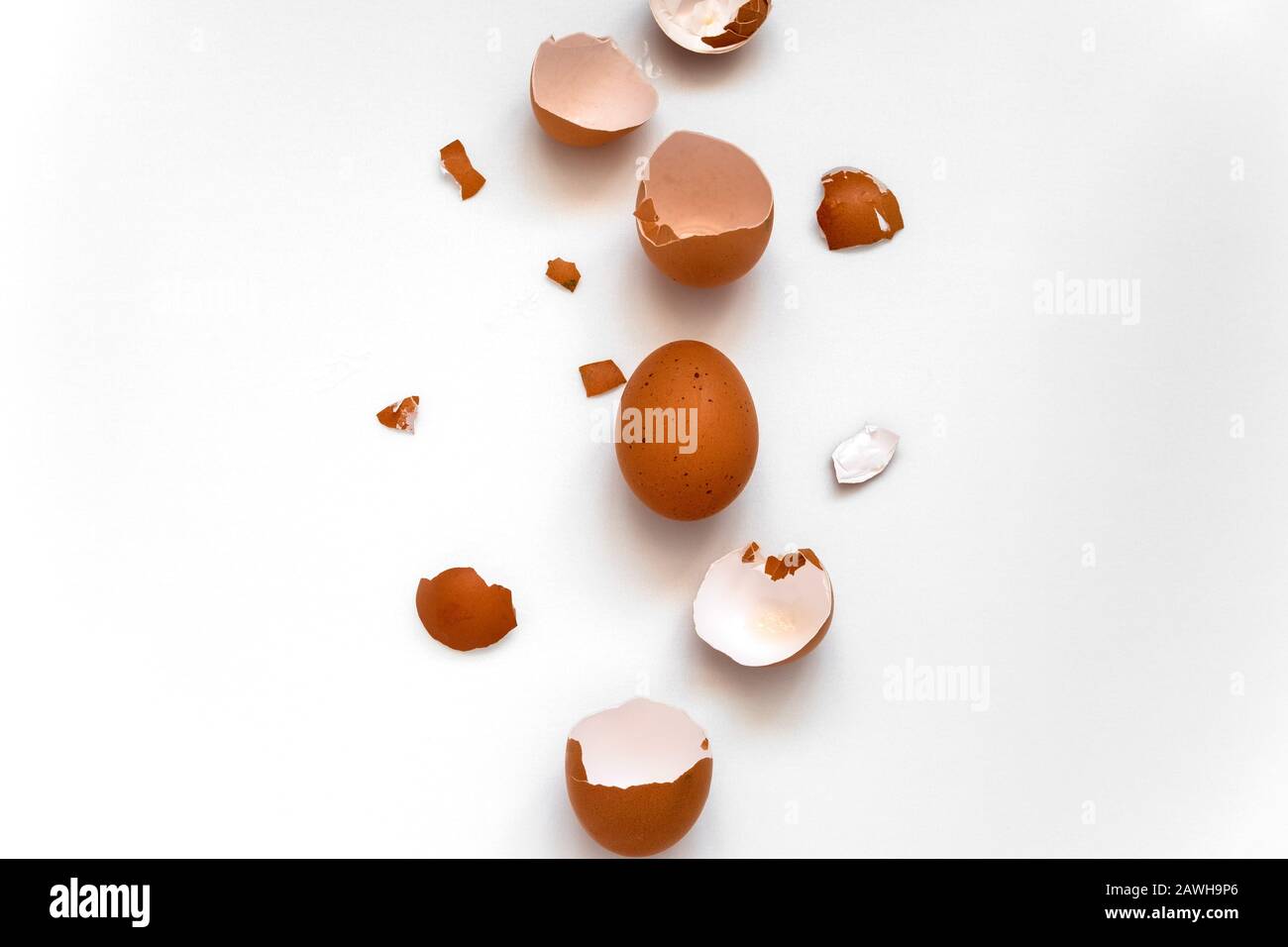 top view flat lay one brown egg and egg shells on a white background Stock Photo