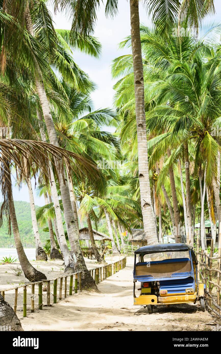 (Selective focus) Stunning view of a colorful moto-taxi parked on a sandy path surrounded by green coconut palm trees. Nacpan Beach, El Nido, Palawan. Stock Photo