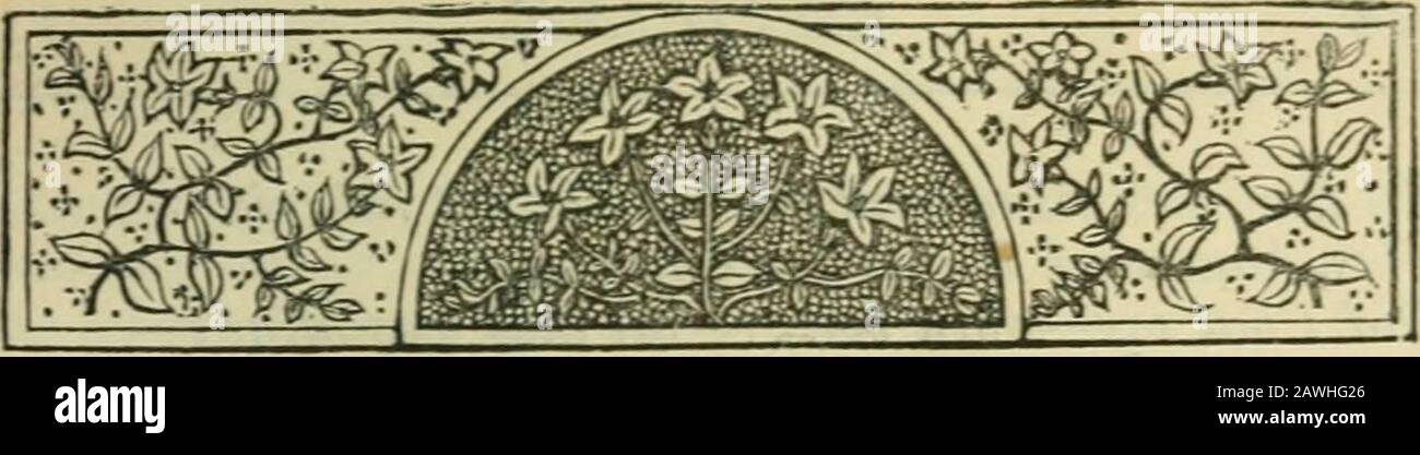 Catiline critical essays 06 image