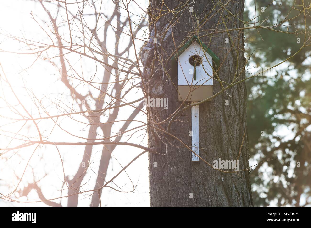 Birdhouse attached to a tree in the park Stock Photo Alamy