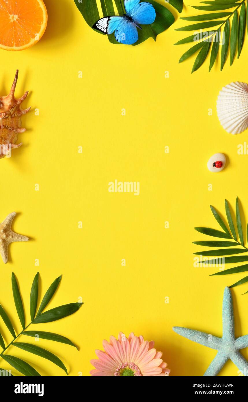Summer Tropical Background. Palm Trees Branches, butterfly, starfish and seashell on yellow background. Summer concept.Travel. Copy space. Stock Photo