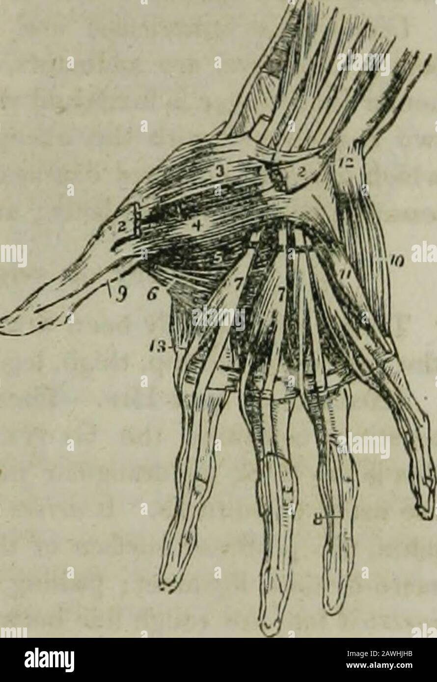 The hydropathic encyclopedia : a system of hydropathy and hygiene in ...