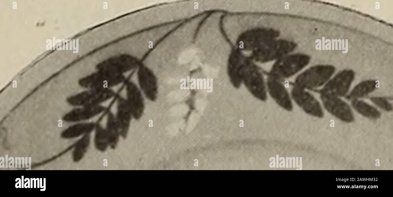 Crockery & glass journal Stock Photo Alamy