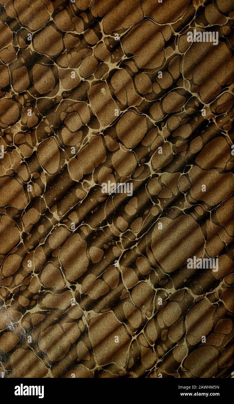 comme des garçons tienda mexico 66