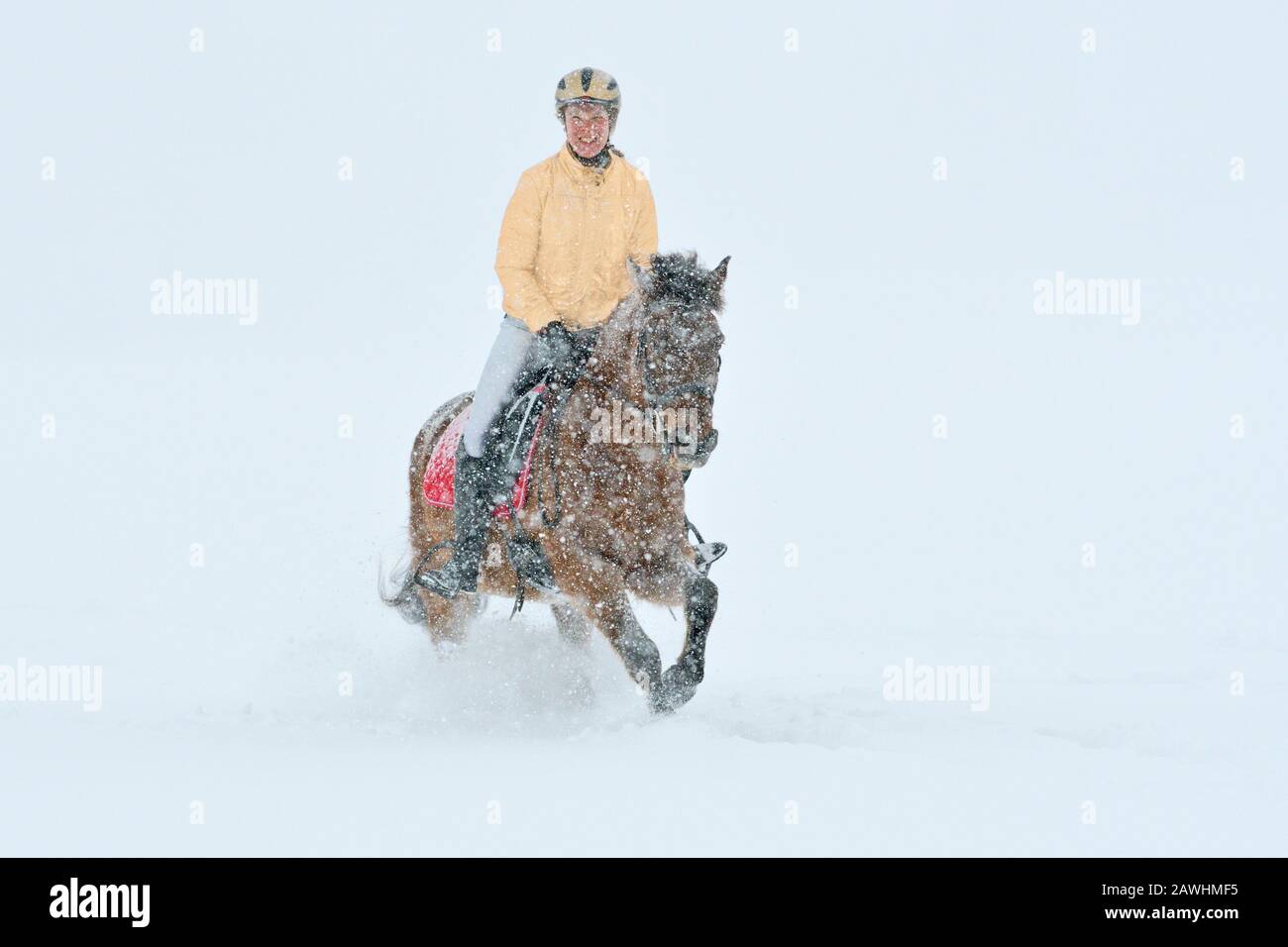 Riding out in winter during heavy snowfall, christmas colors gold red silber Stock Photo