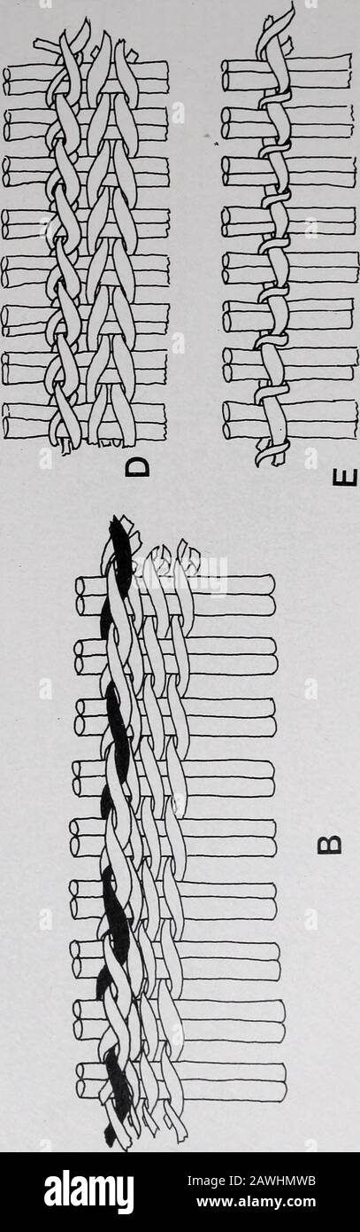 5bc High Resolution Stock Photography And Images Alamy