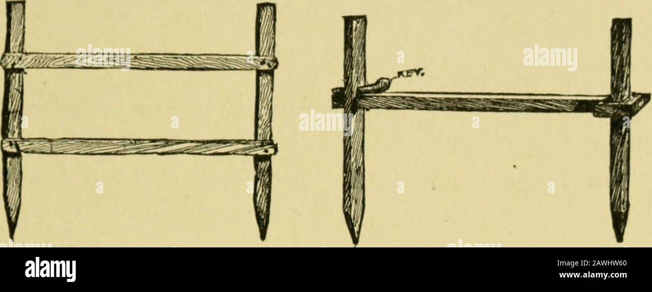 Successive rows hi-res stock photography and images - Alamy