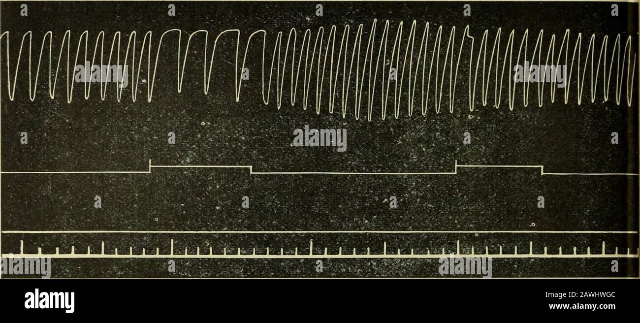 Download Der mensch ist frei geboren und ueberall liegt er dans ketten Free