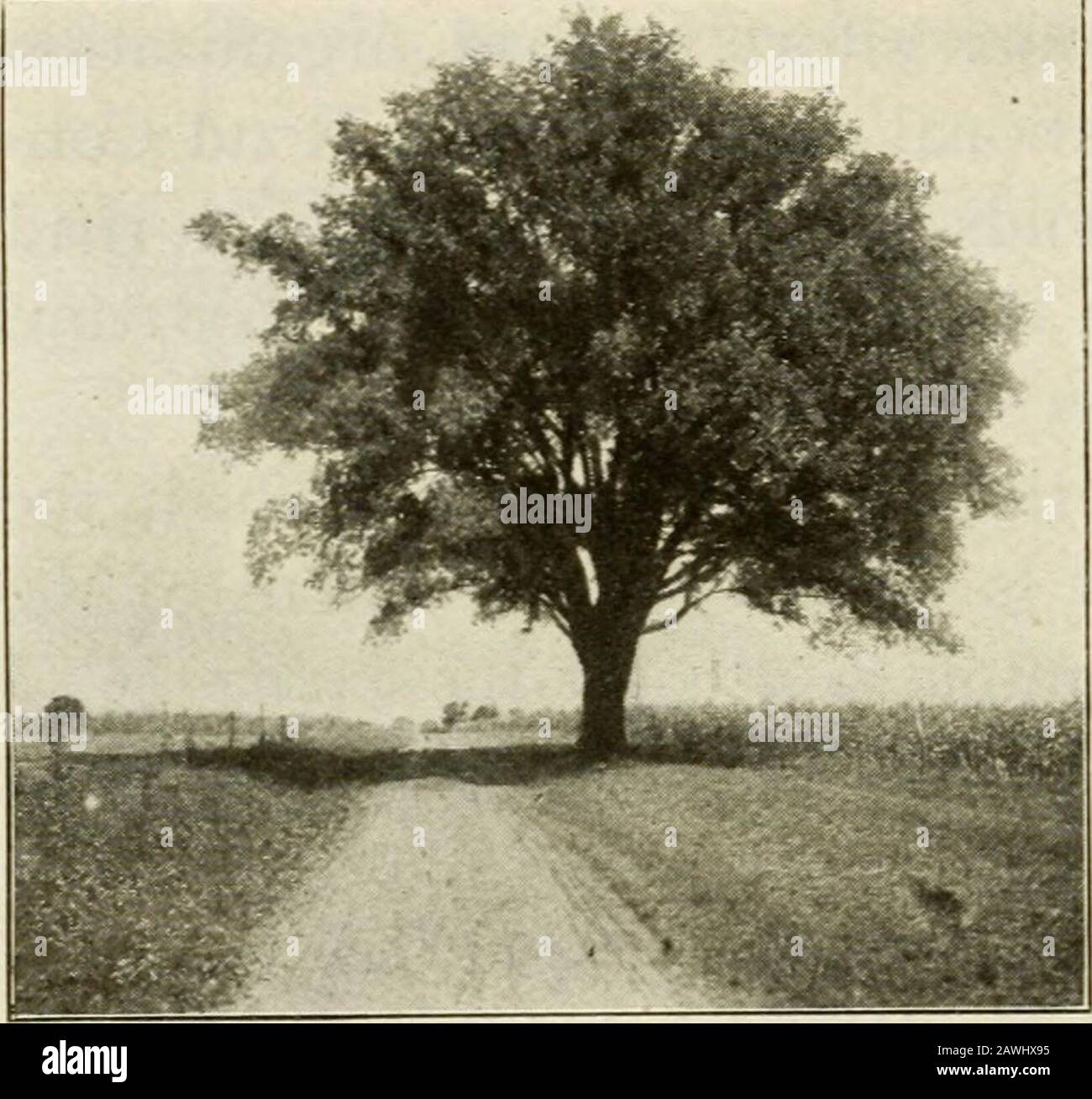 Guidesigns hires stock photography and images Alamy