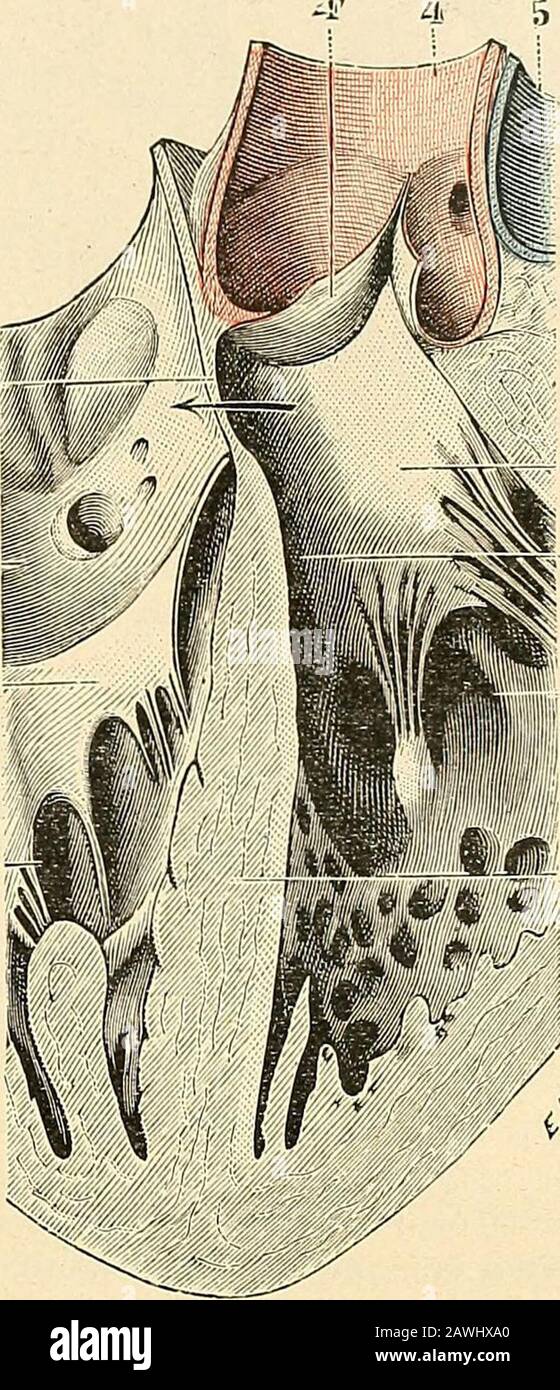 Cas En Bas High Resolution Stock Photography And Images - Alamy