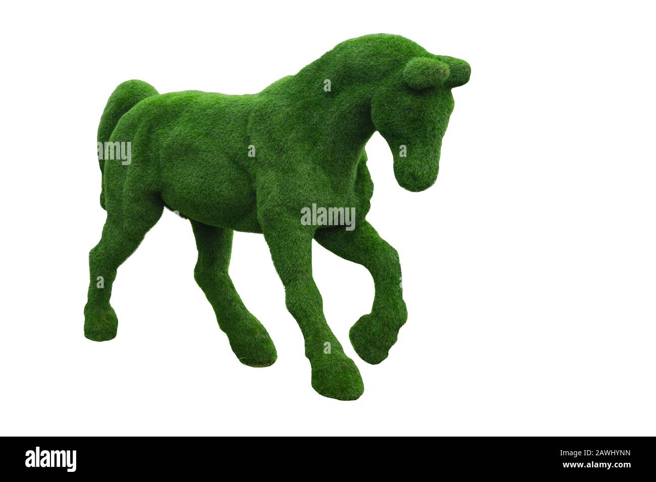 Horse shaped bush. shrub in a form of animal isolated on white. clip art Stock Photo