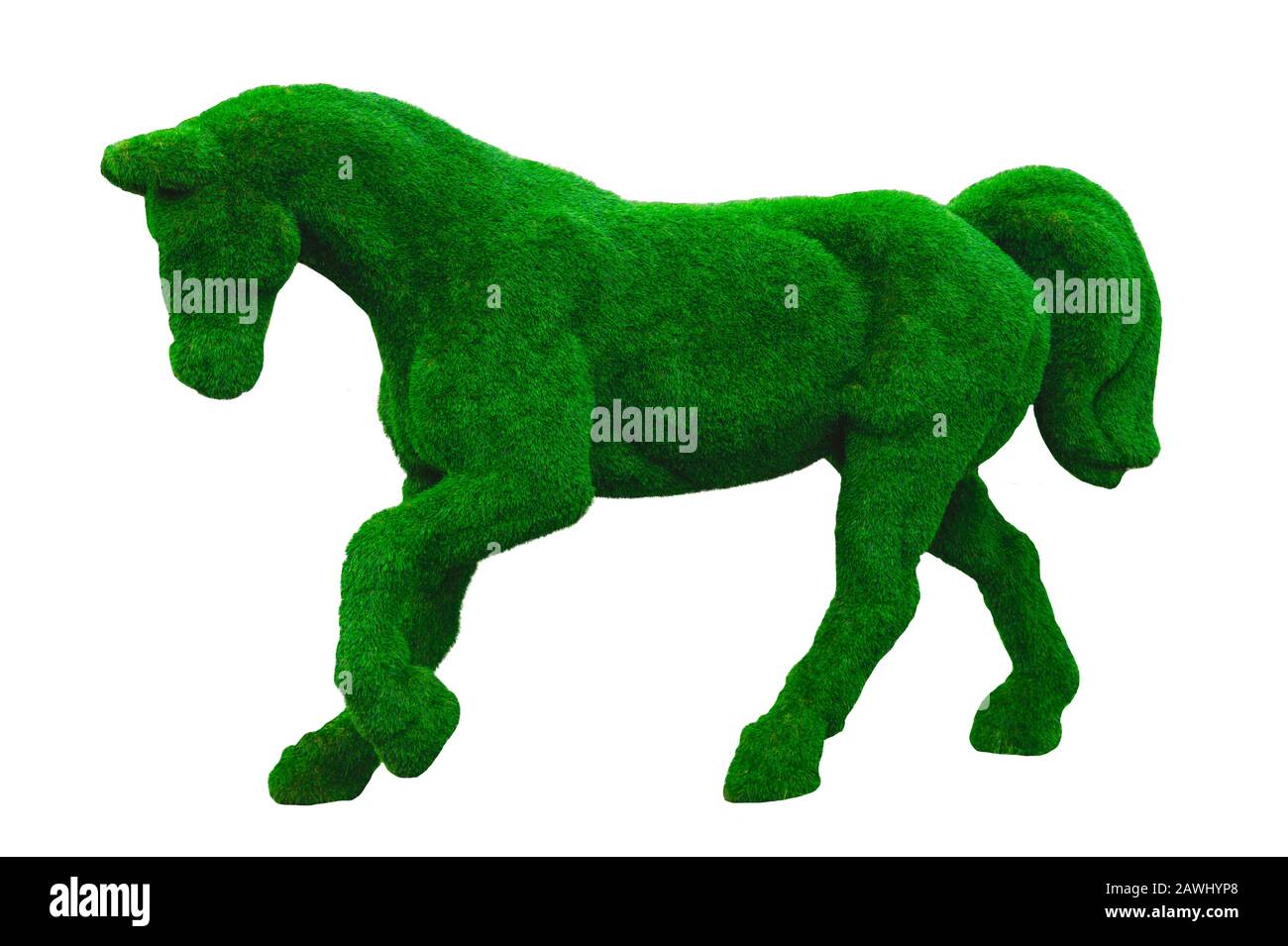 Horse shaped bush. shrub in a form of animal isolated on white. clip art Stock Photo