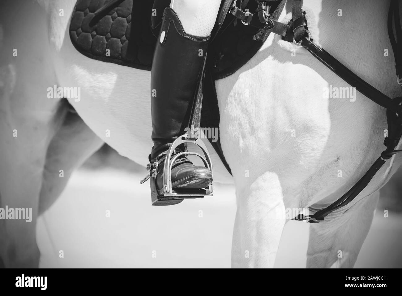 Western saddle on show Black and White Stock Photos & Images Alamy