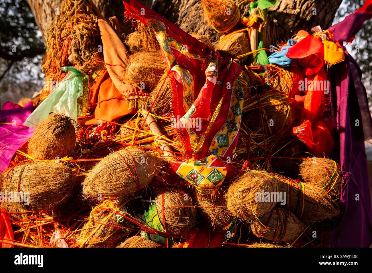 India, Rajasthan, Shekhawati, Udaipurwati, Adaval Valley, Lohargal, Makleth Baba Vishnu Sun Temple, coconut and cloth offerings tied to tree Stock Photo