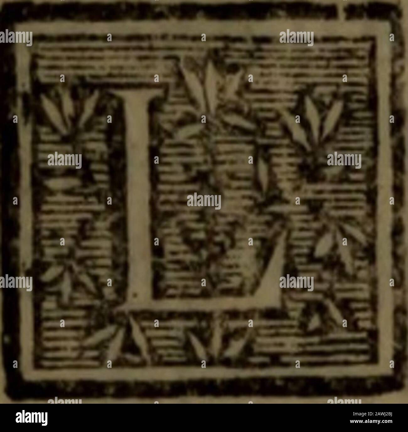 Traite Des Maladies Des Yeux Des Moyens Operations Propres A Leur Guerison Traite Des
