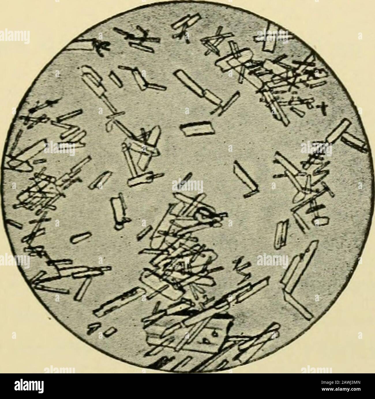 Nitric acid reaction hires stock photography and images Alamy