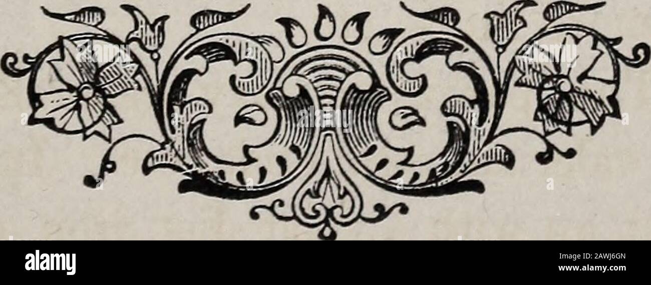 The body and its ailments: a handbook of familiar directions for care and medical aid in the more usual complaints and injuries . ementsof the hands, the feet, the face, the tongue, in fact, of the wholebody. These are irregular, and appear beyond the control of thepatient. They interfere with walking, working, and speech, butcease entirely during sleep. How Treated, The disease may last for many months, but gen-erally improves in a month or less. It may produce mental derange-ment. When it follows a rheumatic attack, it is more apt to beobstinate, and the appropriate treatment, iodide of iron Stock Photo