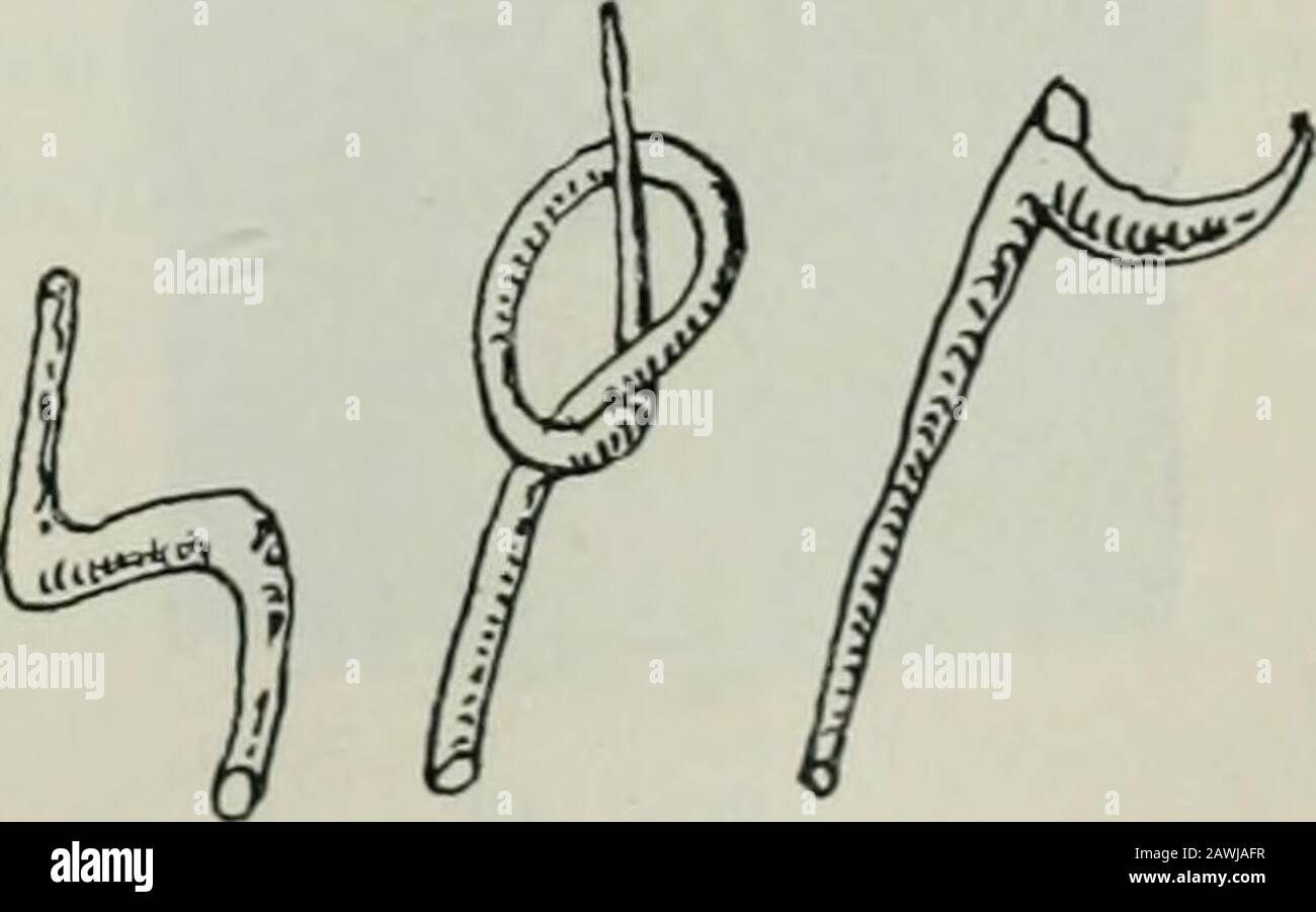 Doko Stock Photos Doko Stock Images Page 3 Alamy