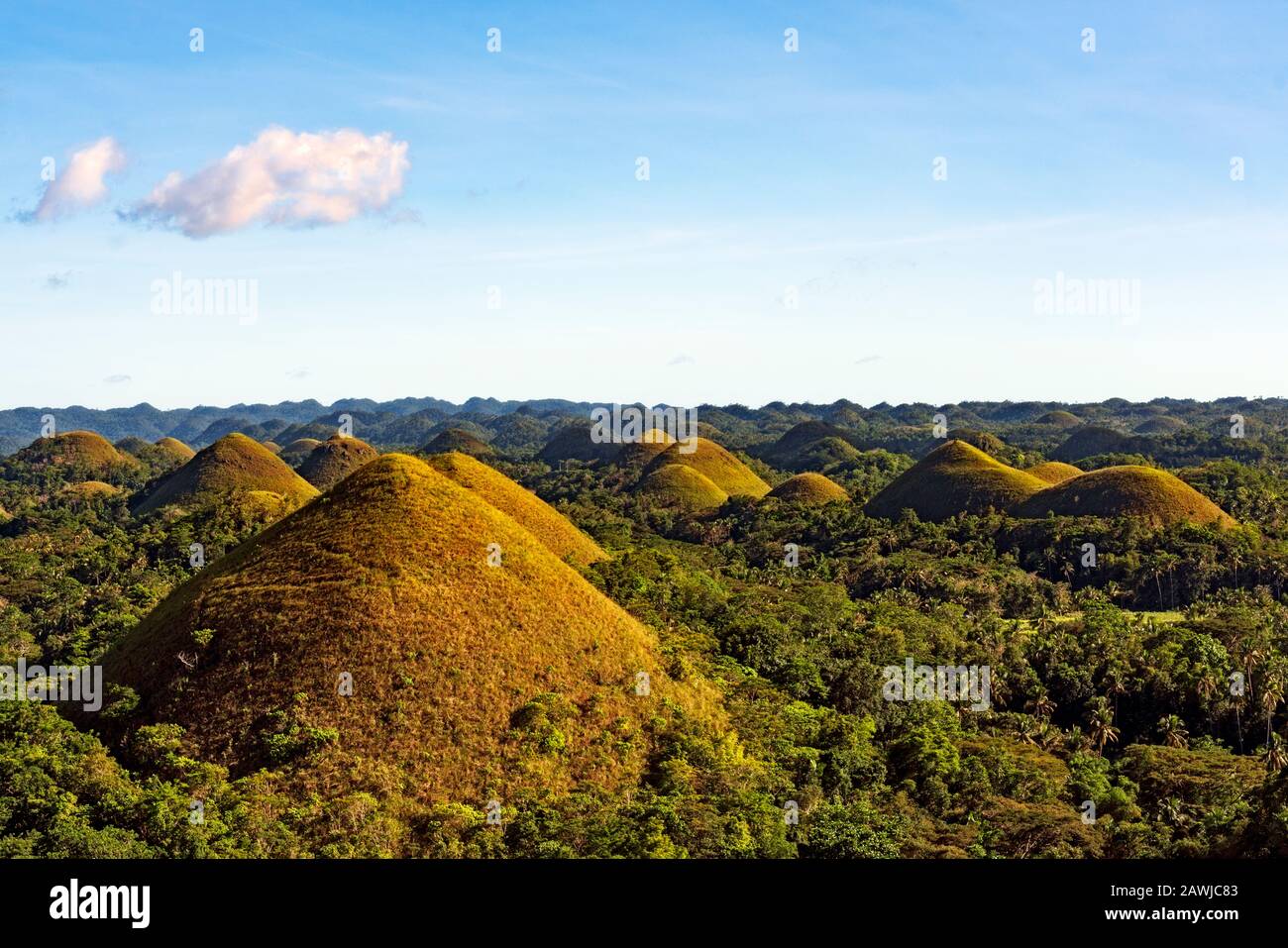 The Chocolate hills in Bohol, Philippines Stock Photo